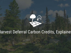 Harvest Deferral Carbon Credits, Explained