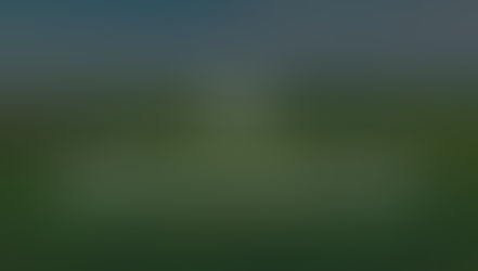 Handling Complex Land Deals: Mineral Rights, Timber Value, and Agricultural Leases