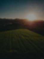 Aerial photograph of farmland