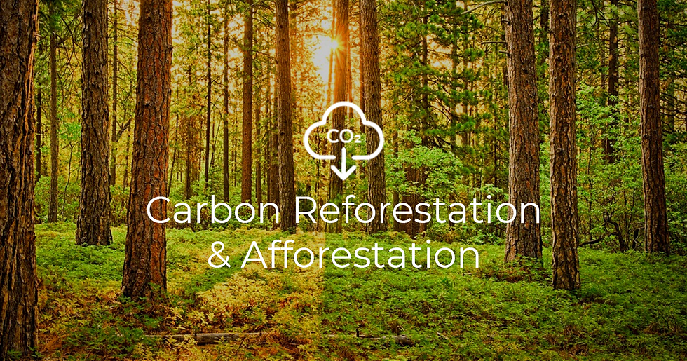 Carbon Reforestation and Afforestation