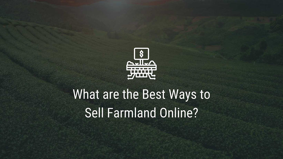 What are the Best Ways to Sell Farmland Online?