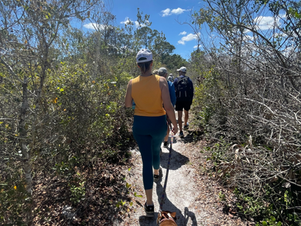 A Guided Hike through naturs 