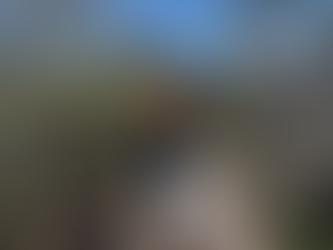 A Guided Hike through naturs 