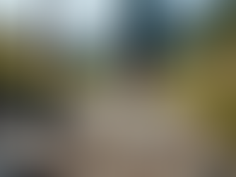 The Treking Pole out on the Trail 