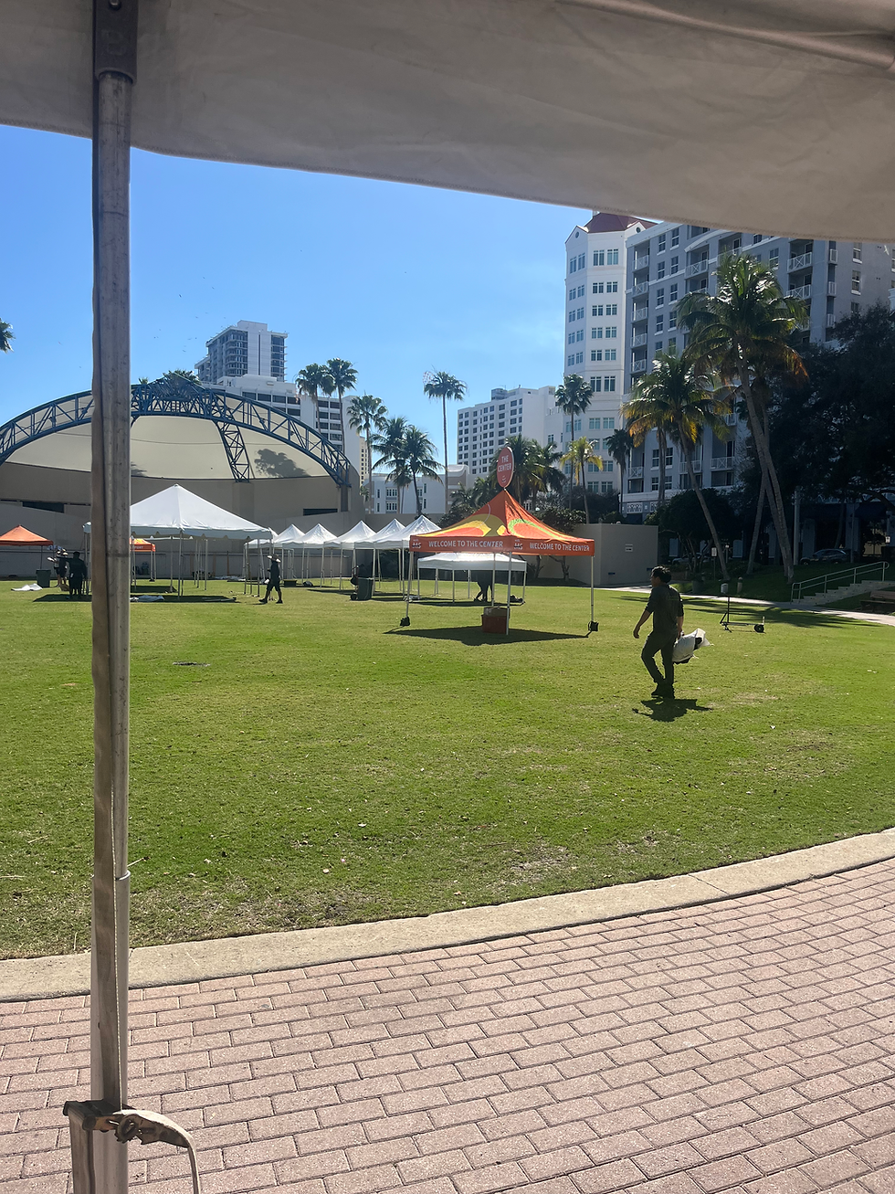 Celebrating Community and Connection: My Experience Volunteering at the MS Walk 2026