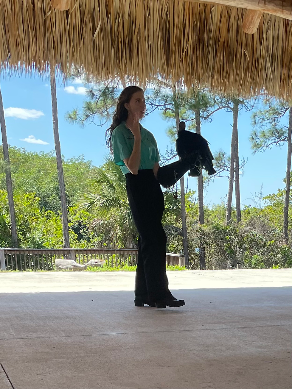 Wildlife Presentation by Treasure Coast Wildlife