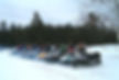 Sledders-.jpg