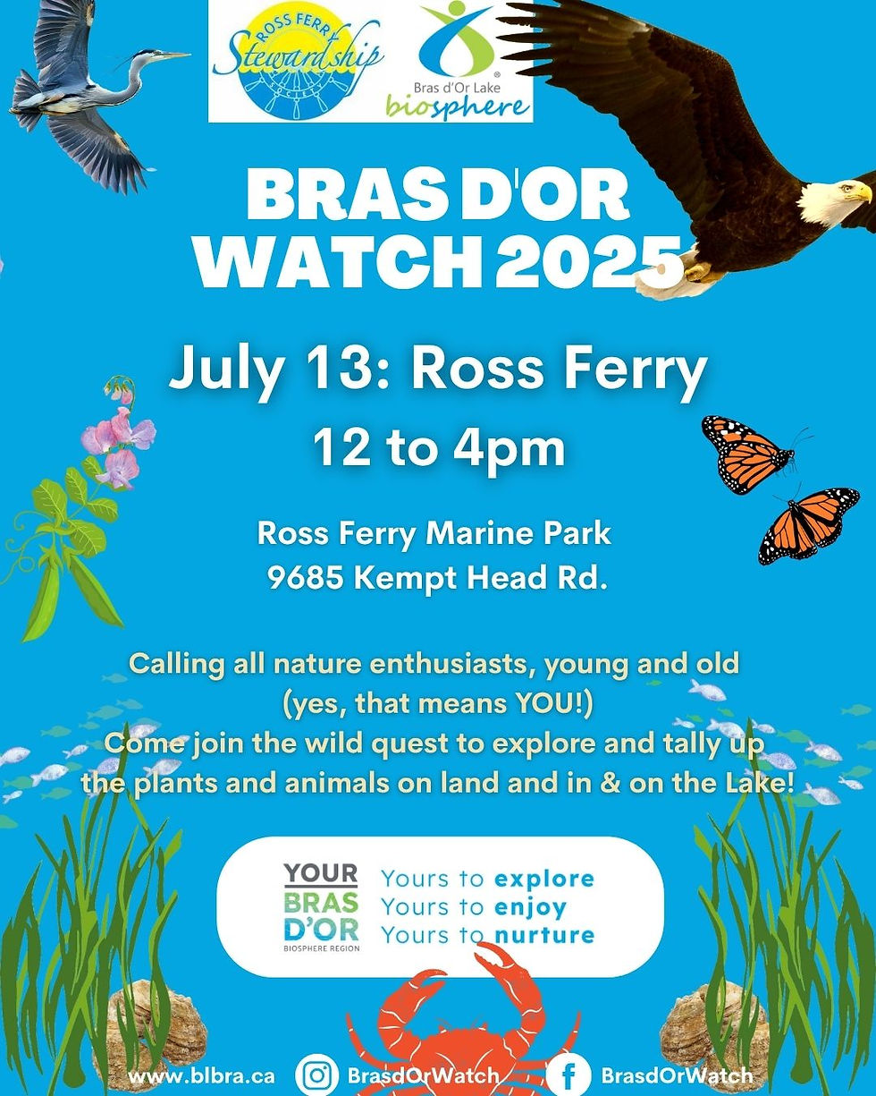 Bras d'Or Watch 2025