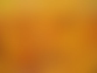 ‘Where beauty lies’: Salvaging the ‘aesthetic experience’ in contemporary landscape painting