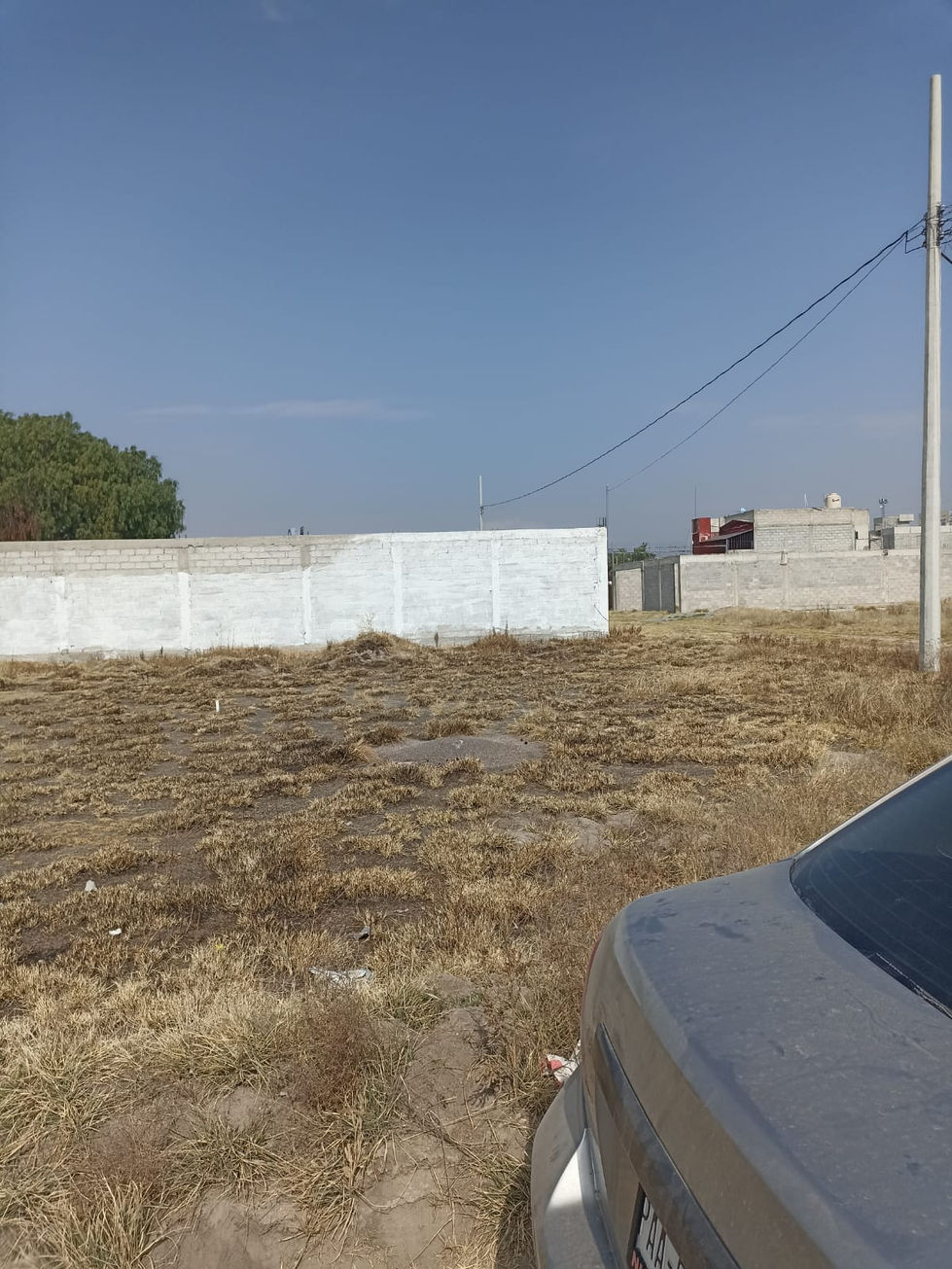 Copia de 1654019360534 (1)