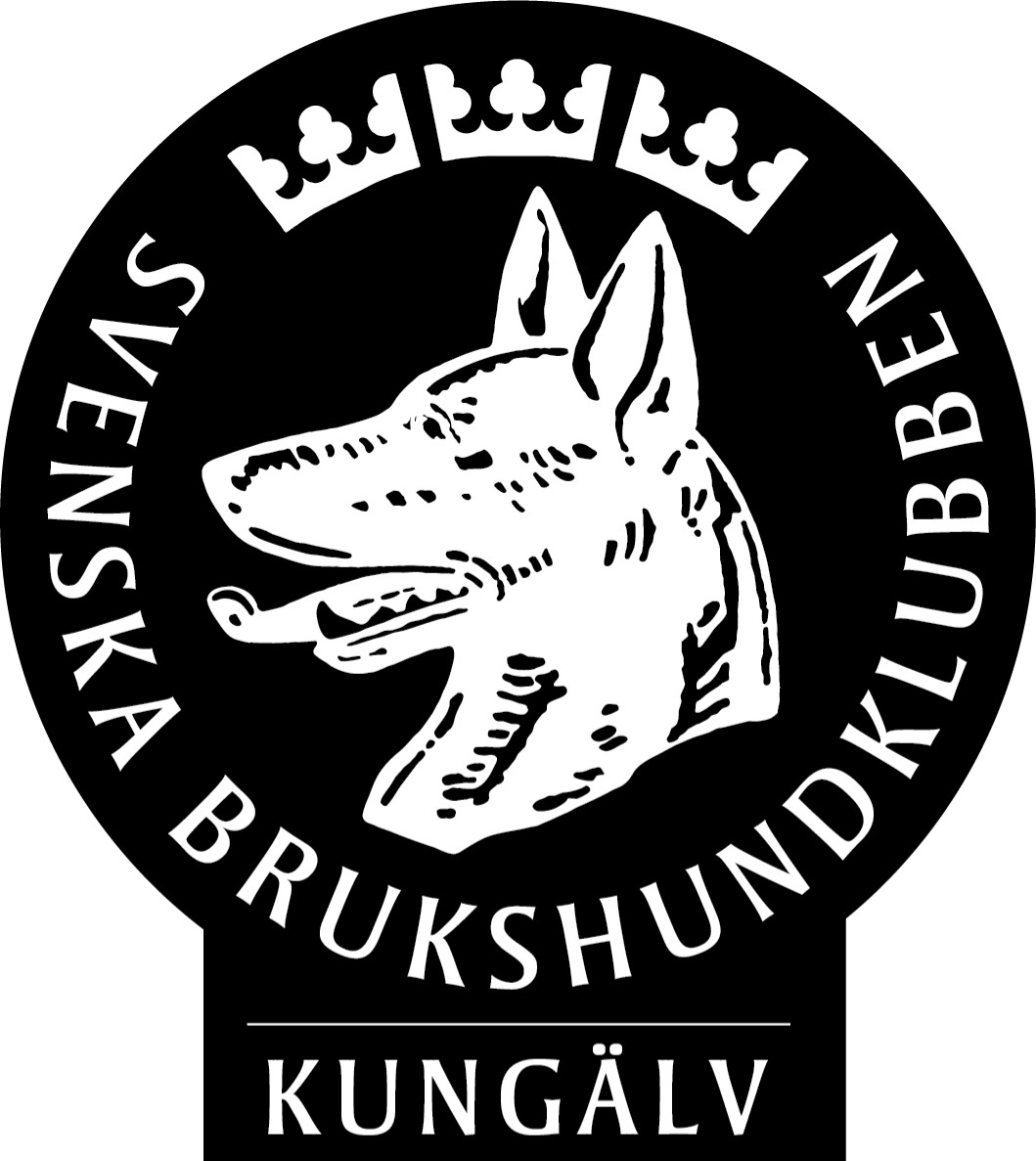 Skribentens bild: Kungälvs BK