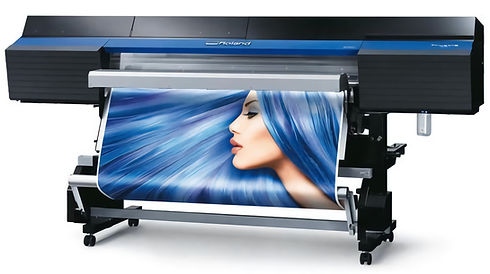 Roland photo print 4X.jpg