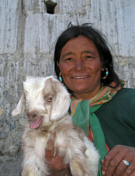 Indien-Himachal-Pradesh-VT13-Frau-mit-Geissli