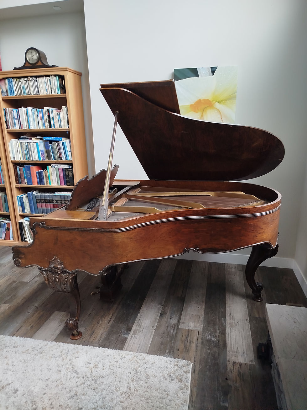 Thumbnail: Kranich & Bach Grand *Brazilian Rosewood*