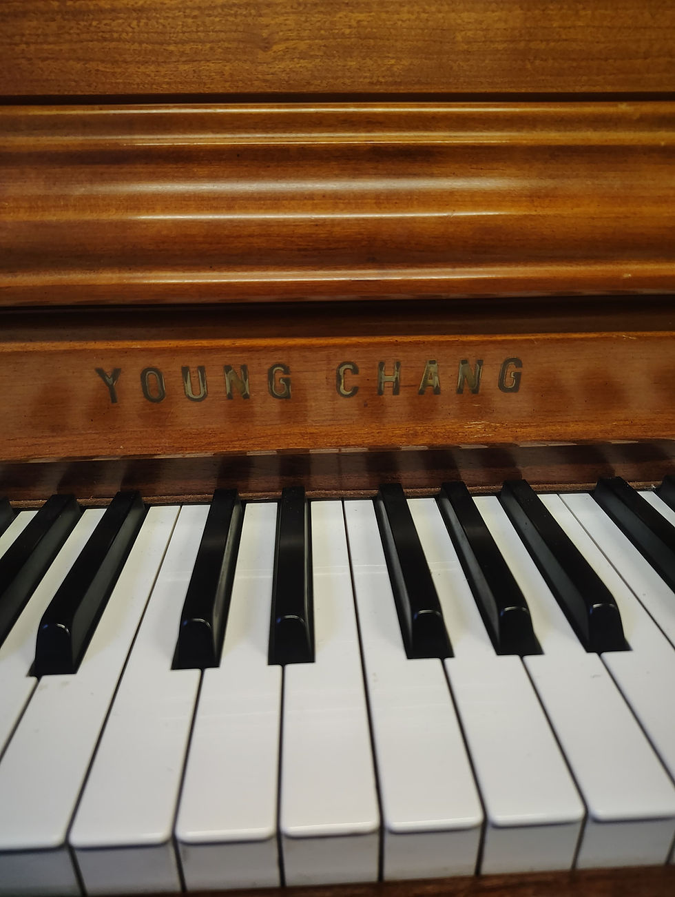 Thumbnail: Young Chang Studio