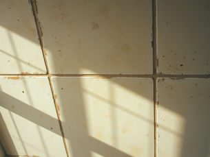 The Silent Warning Above: What Your Ceiling Tiles Are Trying to Tell You