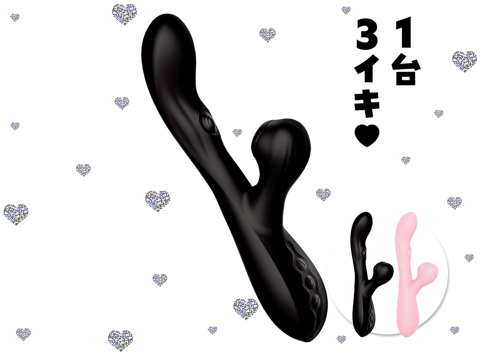 TRIPLE ORGA VIBE［トリプルオーガバイブ］black 商品トップ説明画像