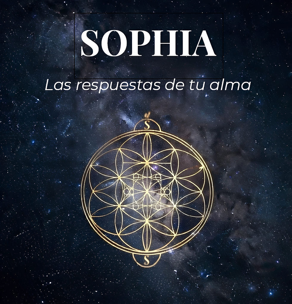 Nueva Sophia cuadrada 2-liviana.jpg