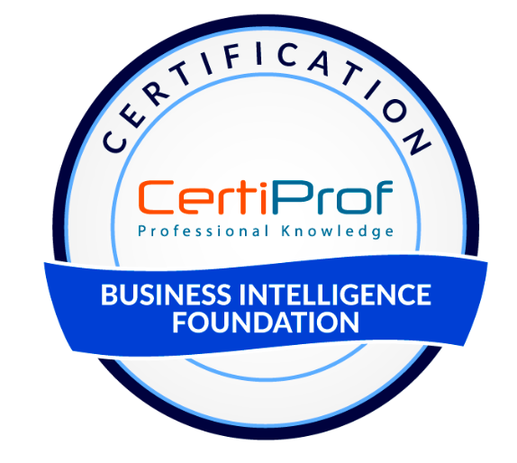 Business Intelligence Professional