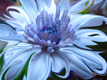 3 Serendipitous Moments of Beauty
