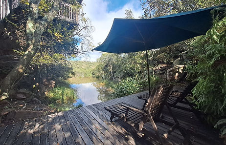 20250425_092449 (2).jpg