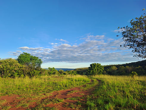 20250221_063237 (2).jpg