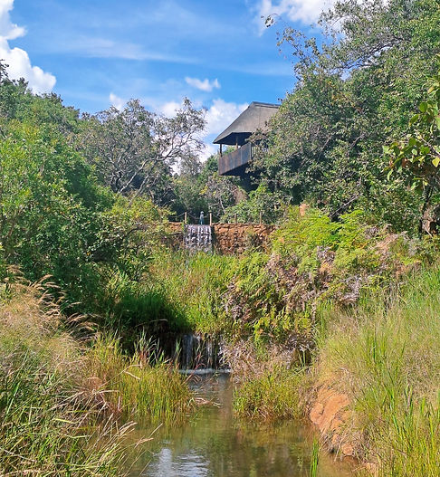 WhatsApp Image 2025-04-25 at 08.14_edite