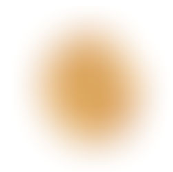 La graine de sésame.