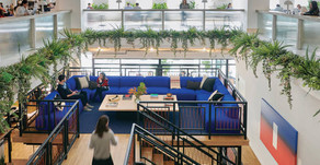 Wellness Co-Working Catches On, We Can Now Die Well, and Grocery Stores Get Fit
