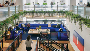 Wellness Co-Working Catches On, We Can Now Die Well, and Grocery Stores Get Fit
