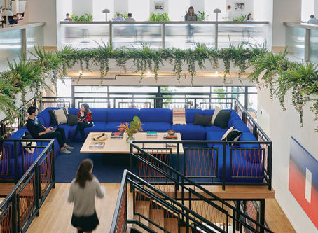 Wellness Co-Working Catches On, We Can Now Die Well, and Grocery Stores Get Fit