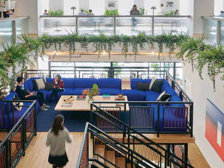 Wellness Co-Working Catches On, We Can Now Die Well, and Grocery Stores Get Fit