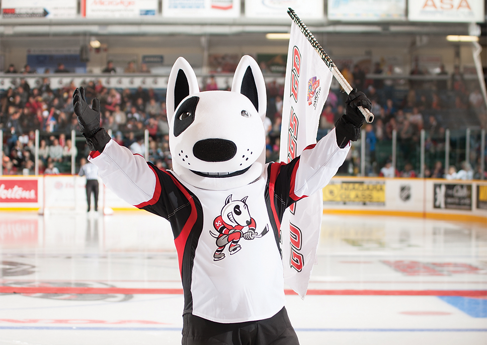 Meet and Greet with Bones from the Niagara Ice Dogs
