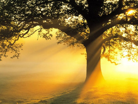 James Clayton Monk”JC”