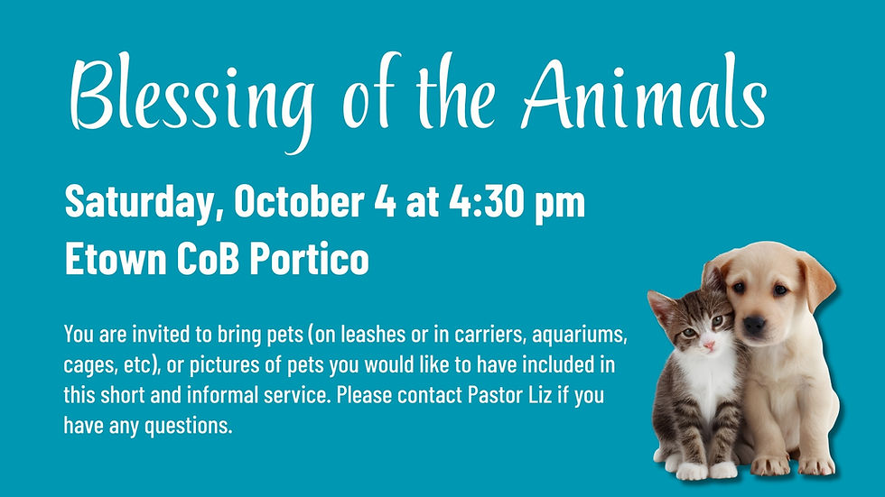 Blessing of the Animals