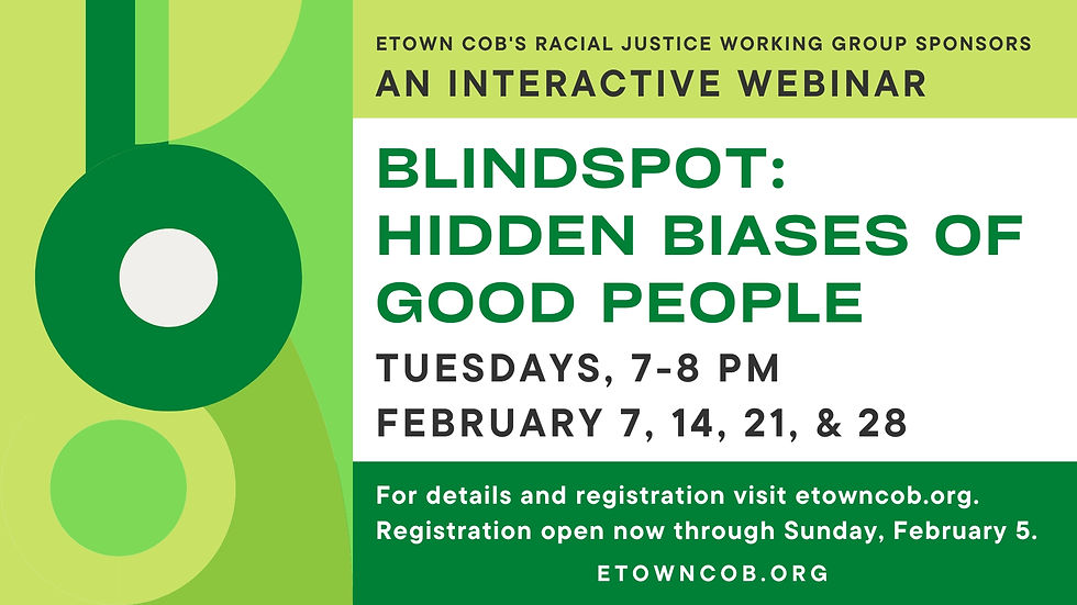 Blindspot: Hidden Biases of Good People