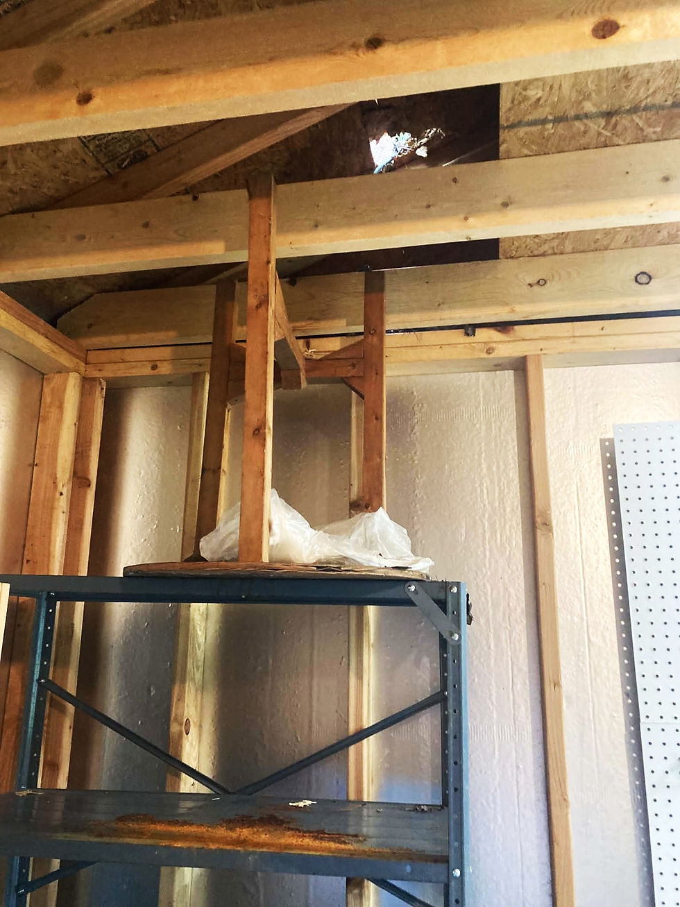 maintenance showed hole in roof of shed house