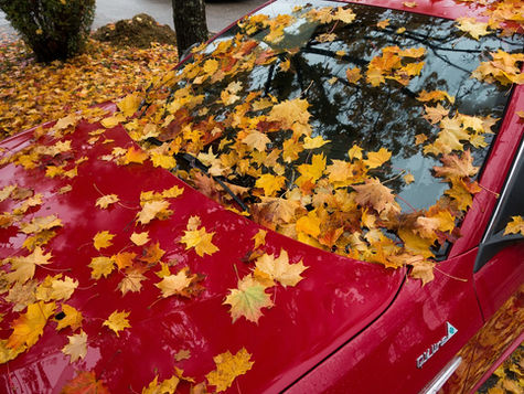 How to Choose the Perfect Car Cover for All-Weather Protection