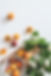 abricots