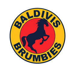 Brumbies