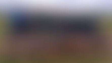 CCS Girls Prominent in Gleneely Colts All-Ireland Campaign