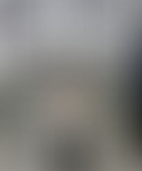 Michaela McCloskey Experiences Work in Leinster House