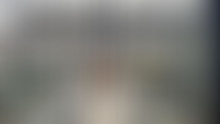 Michaela McCloskey Experiences Work in Leinster House