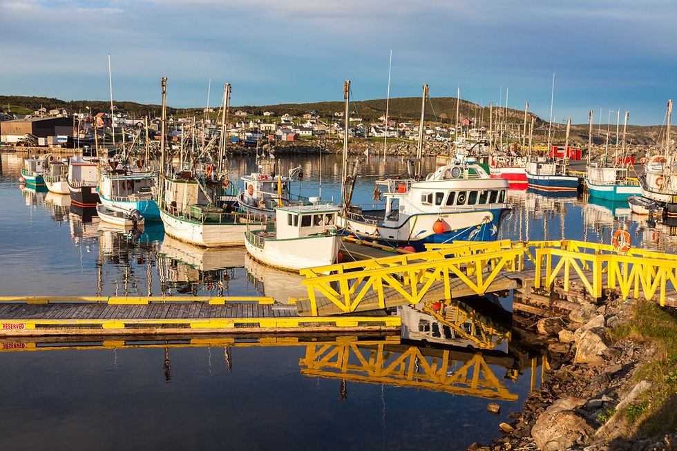 Bonavista, Newfoundland Photo by Shutterstock