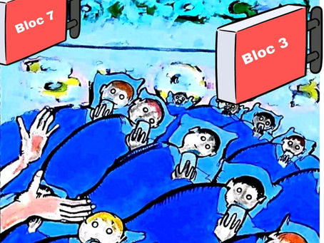 LES P'TITS POULETS EN (BATTERIE) WIFI