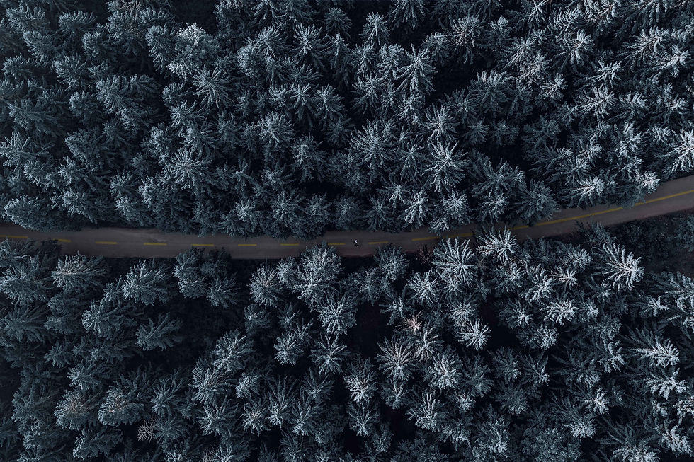 Image by Jalil Saeidi