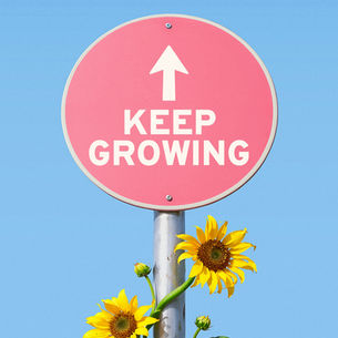 The Power of Our Roots!