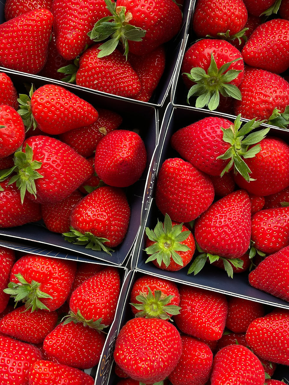 Flavour Trails at Saanich Strawberry Festival (1)
