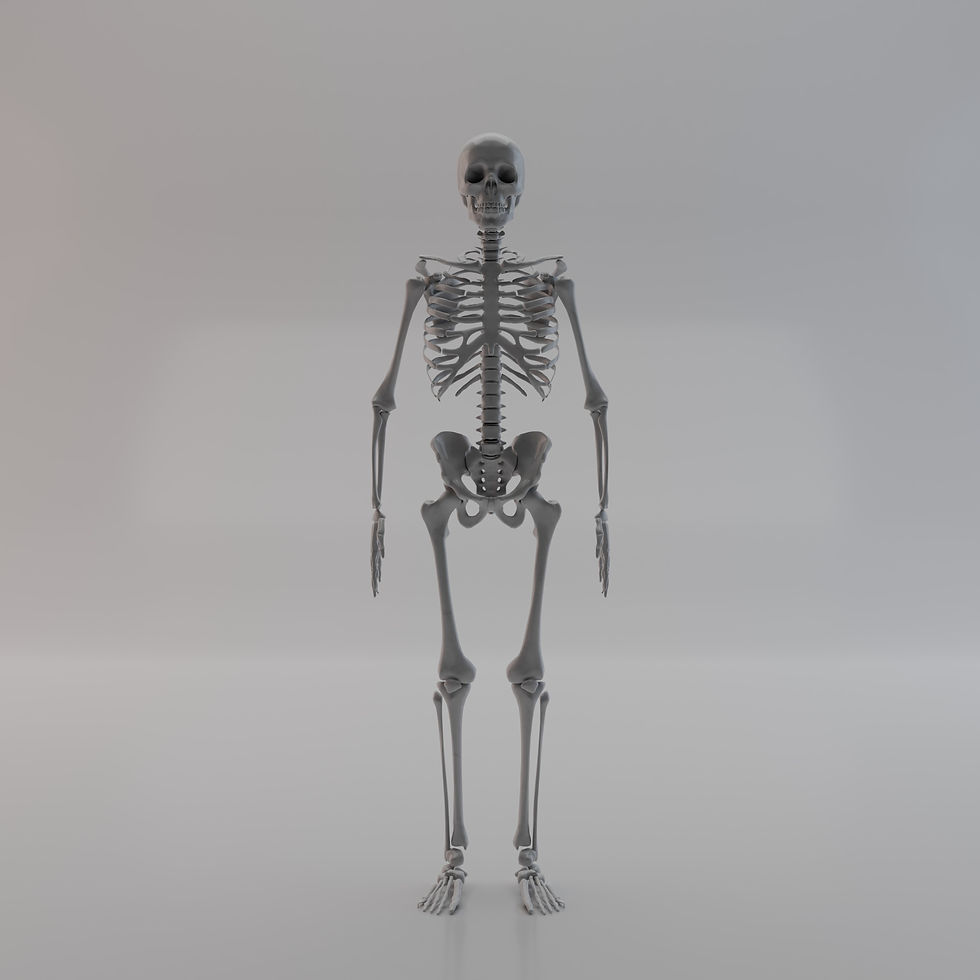 It's a skeleton. It's just standing, not doing anything very fun but demonstrating how the shoulders are a bit wider than the pelvis.