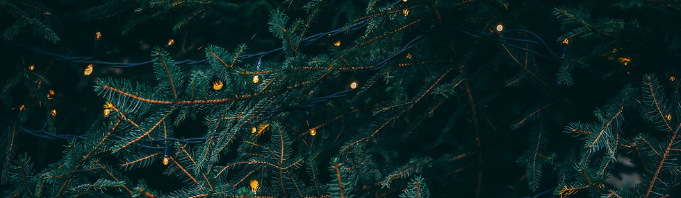 Image by Kieran White